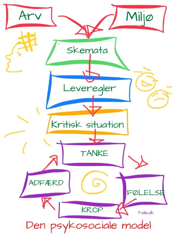 Den psykosociale model - en illustration af hvordan vores overbevisninger dannes