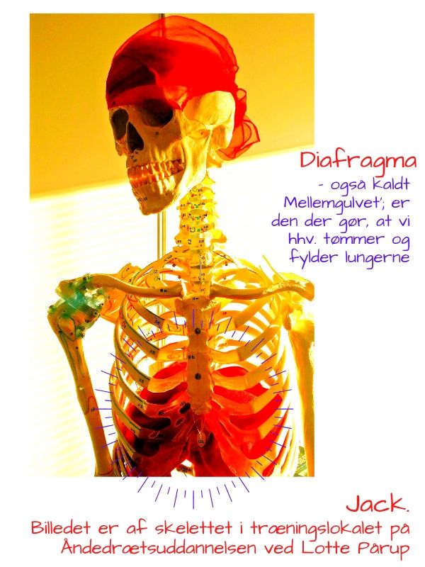 Diafragma